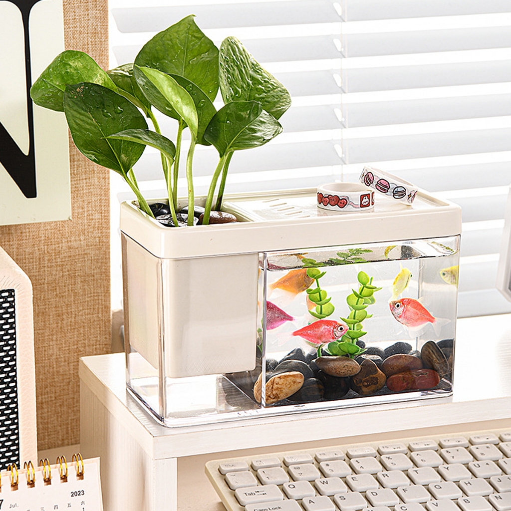 Fish Tank Transparent Small Desktop Landscaping Tank Plastic Amphibious ...