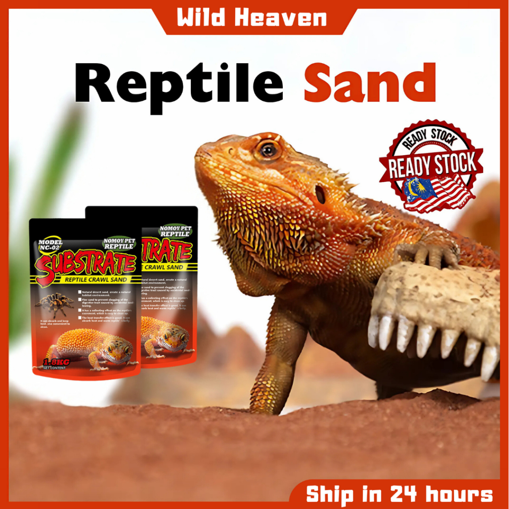 1.8kg Reptile Calcium Sand, Natural Odourless Pet Climbing Sand for ...