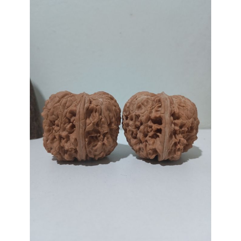 闷墩文玩核桃大尺核桃walnuts | Shopee Malaysia