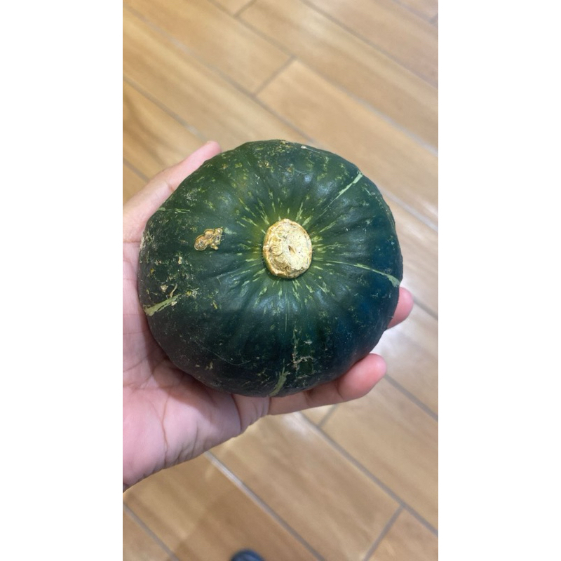 1biji Labu Jepun mini labu secekak je size dia sedap lemak mabus ...