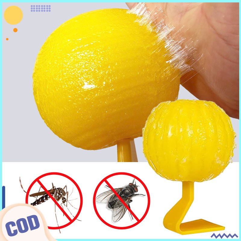 Fruit Fly Insect Catcher small flying insect killing artifact Fruit Fly ...
