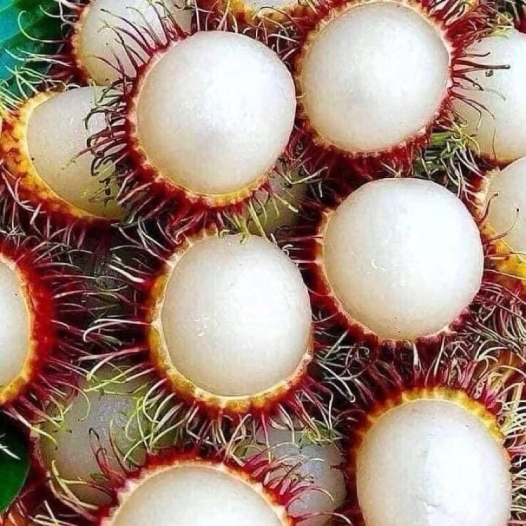 BUAH RAMBUTAN MANIS LEKANG ISI PEJAL RAMBUTAN ANAK SKOLOH 500g | Shopee ...
