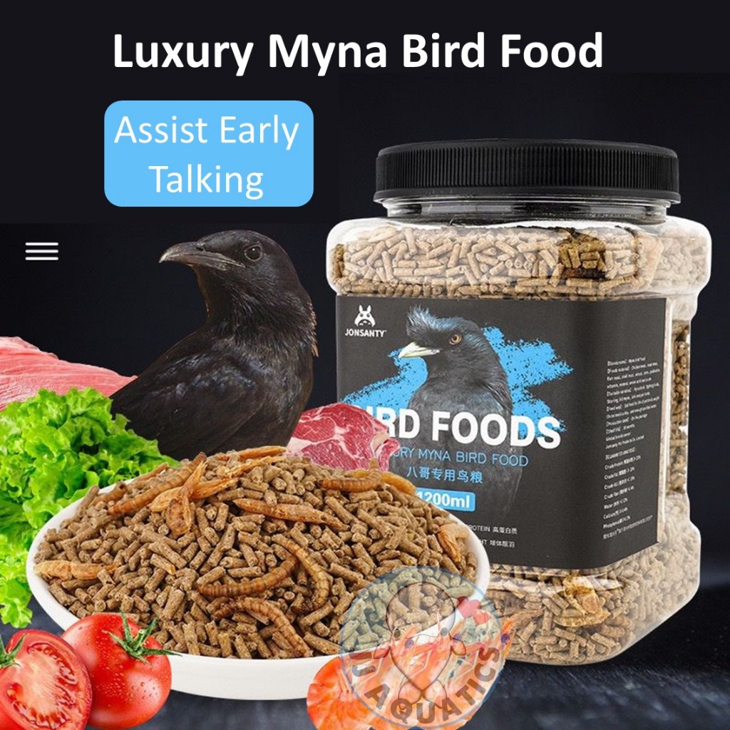 🔥Ready Stock🔥Jonsanty Luxury Myna Bird Food Assist Early Talking High ...