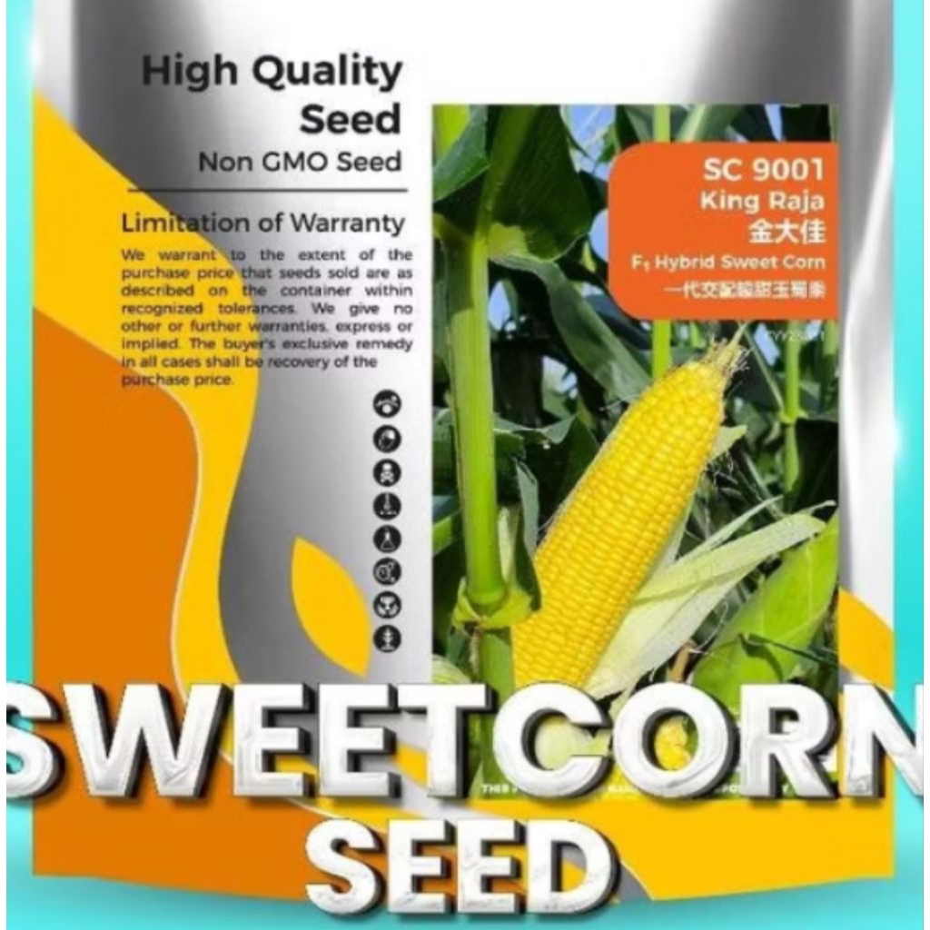 10 biji benih jagung KING RAJA crop power maize corn seed | Shopee Malaysia