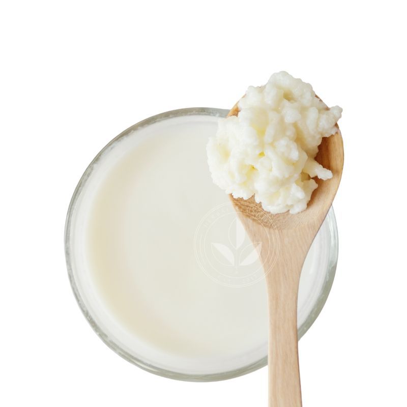 HR Organic Milk Kefir Grains Starter Culture 150ml/30g Shopee Malaysia