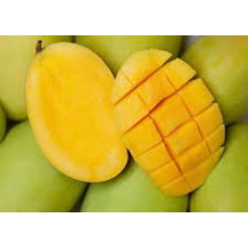 Buah Mangga Susu Gold Fresh Dan Manis | Shopee Malaysia