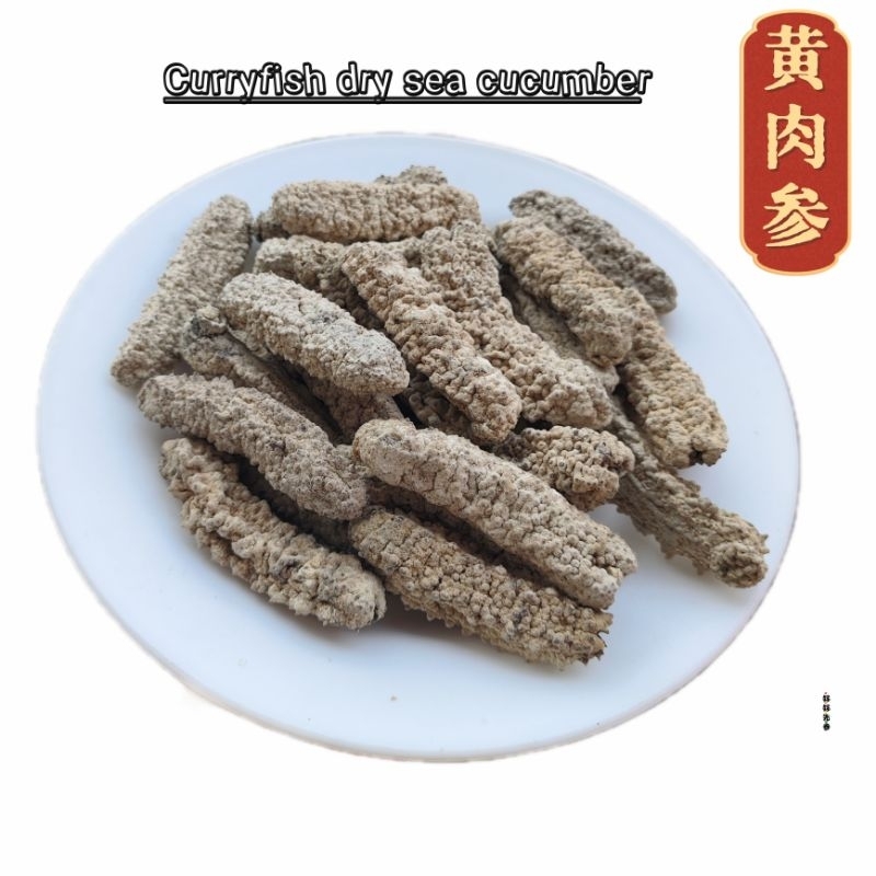 seacucumber - Prices and Promotions - Aug 2026 | Shopee Malaysia
