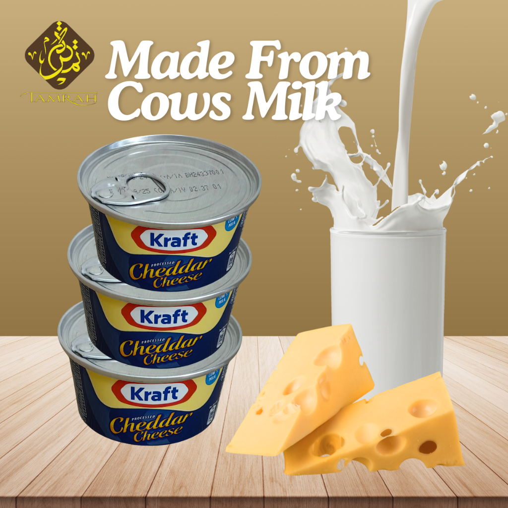 Kraft Cheddar Cheese / Processed Cheddar Cheese / High Quality / 100gm ...
