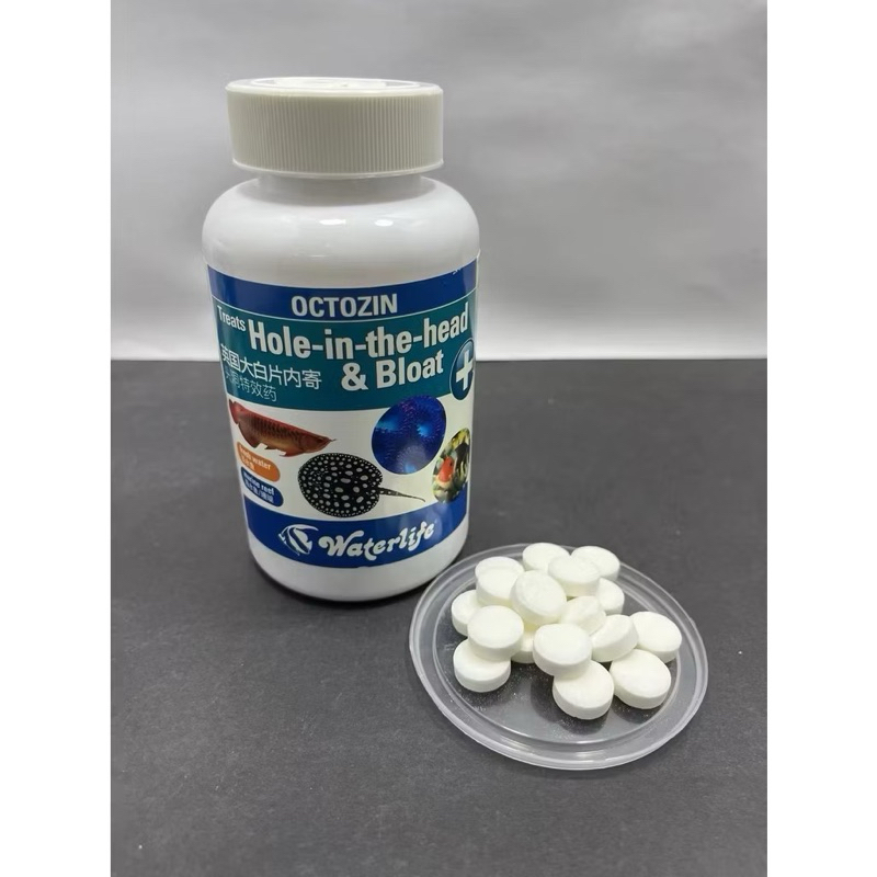 Waterlife Octozin Bloat & Hole-in-the-Head Parasite Treatment aquarium ...