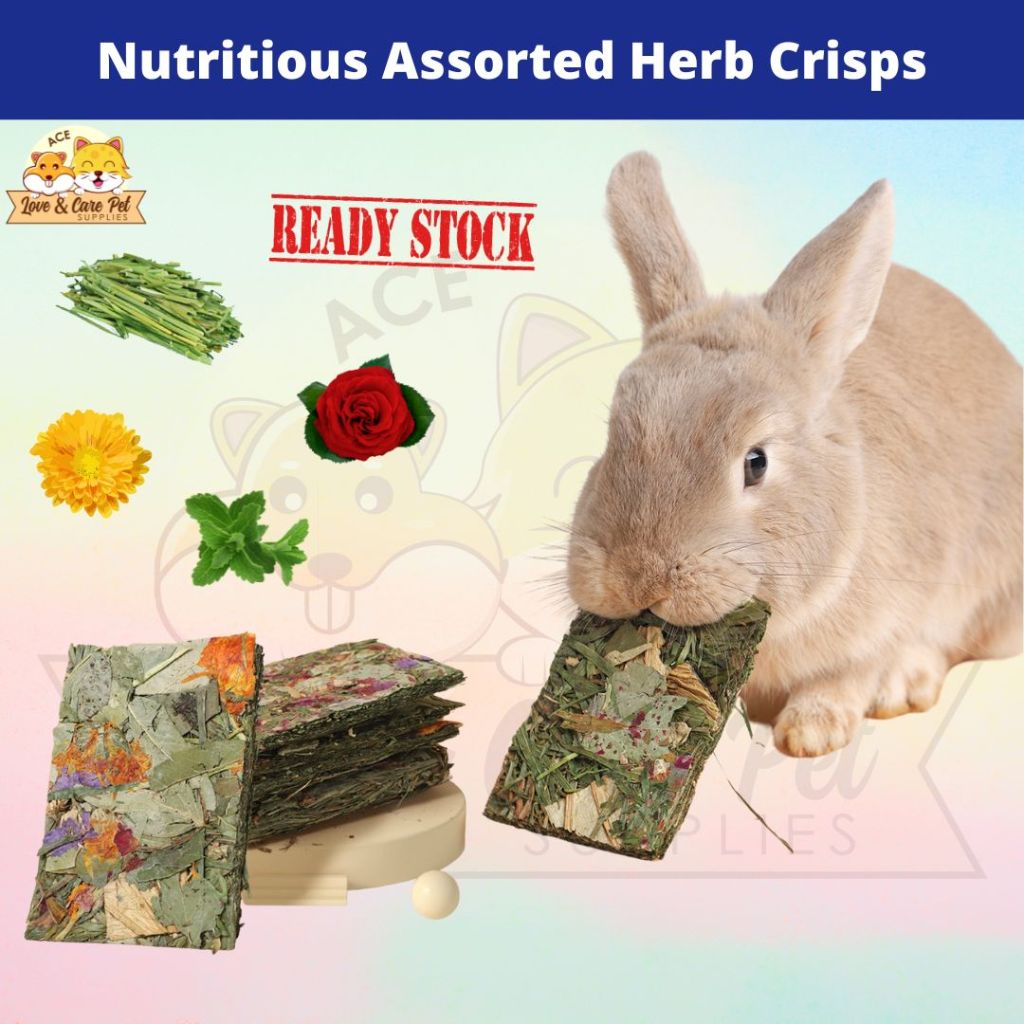 Nutritious Assorted Herb Crisps / Timothy Myosotis Rose Chrysanthemum ...