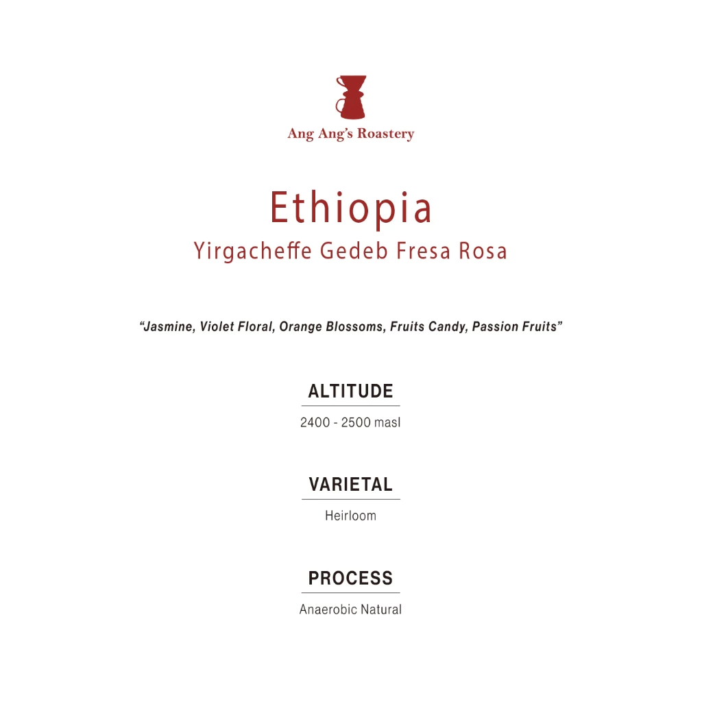 Ang Ang Roastery Limited Series - Ethiopia Yirgacheffe Gedeb Fresa Rosa – specialty coffee beans Malaysia