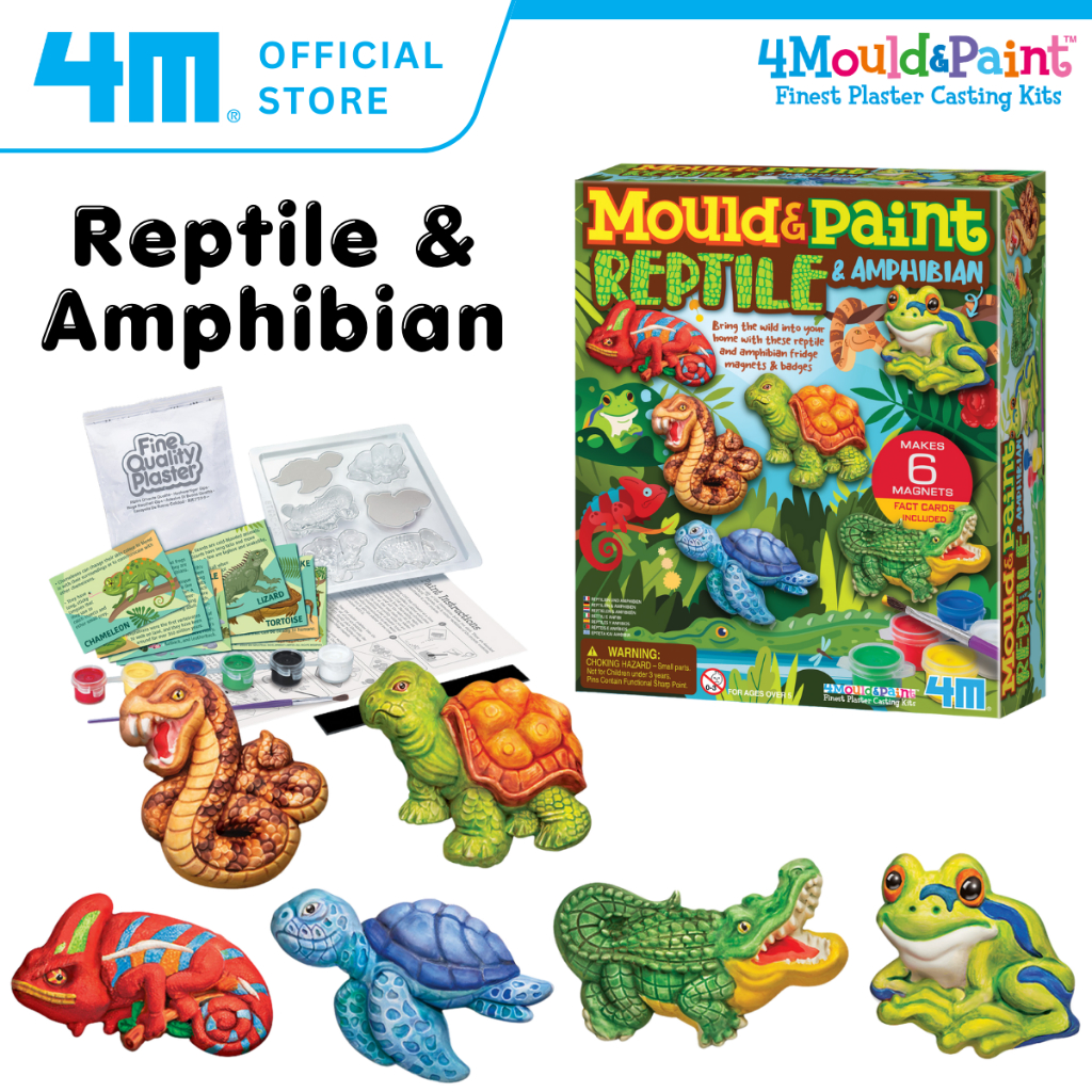 Kids Crafts Mould & Paint Reptile & Amphibian - The Science Store Kids ...