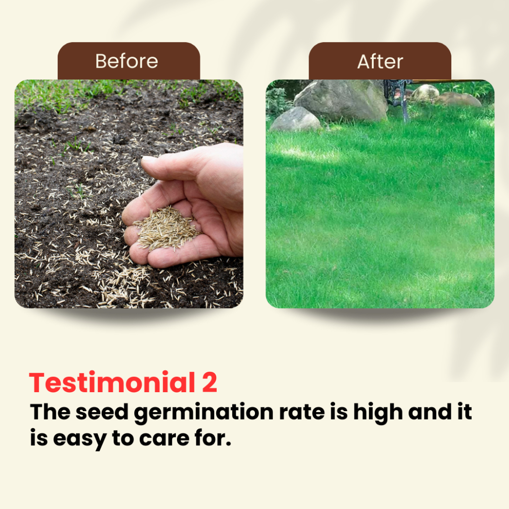 Agro Farm Biji Benih Rumput Kubur - Khas Untuk Kawasan Kubur / Grass ...