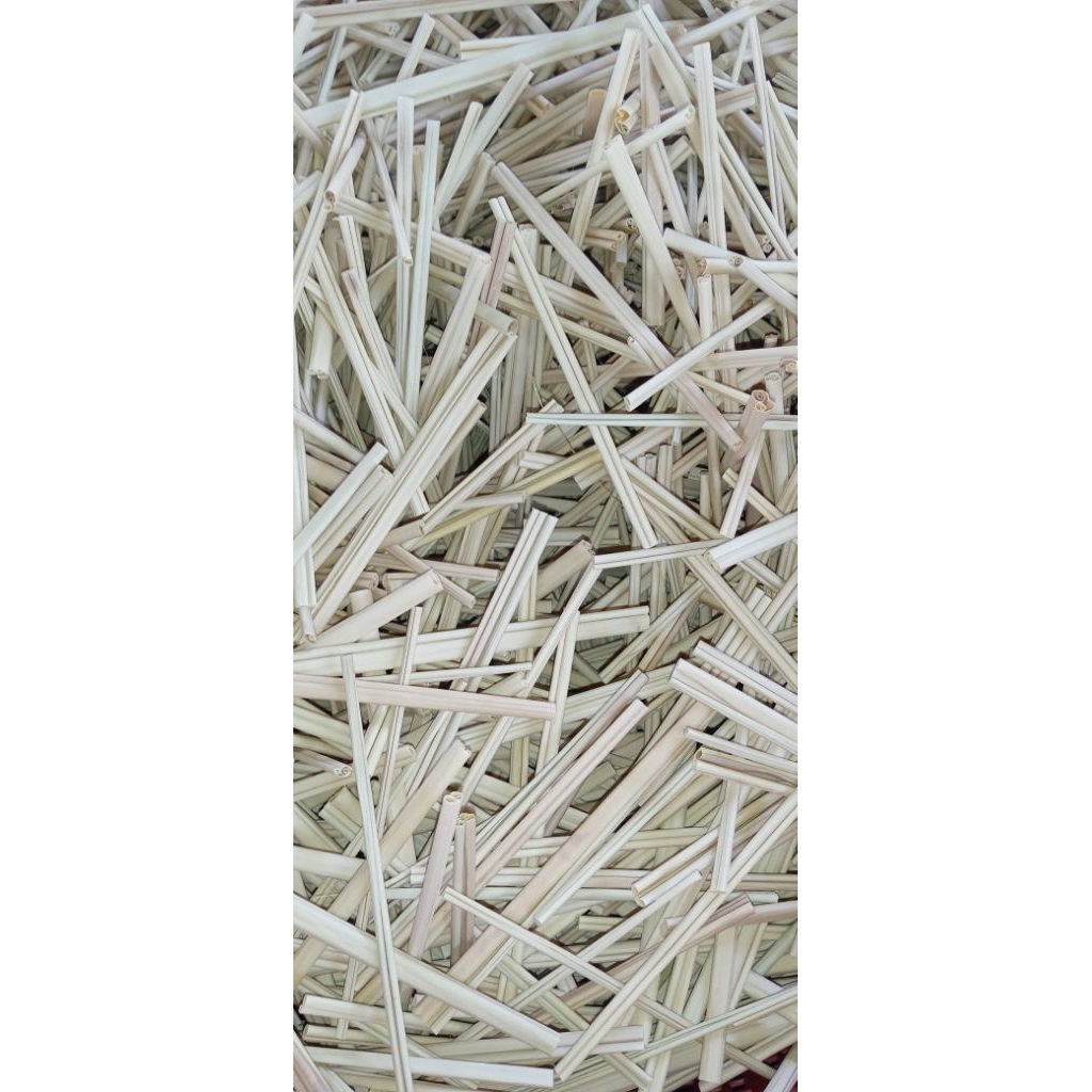 10( berkas)chapp daun nipah segar | Shopee Malaysia