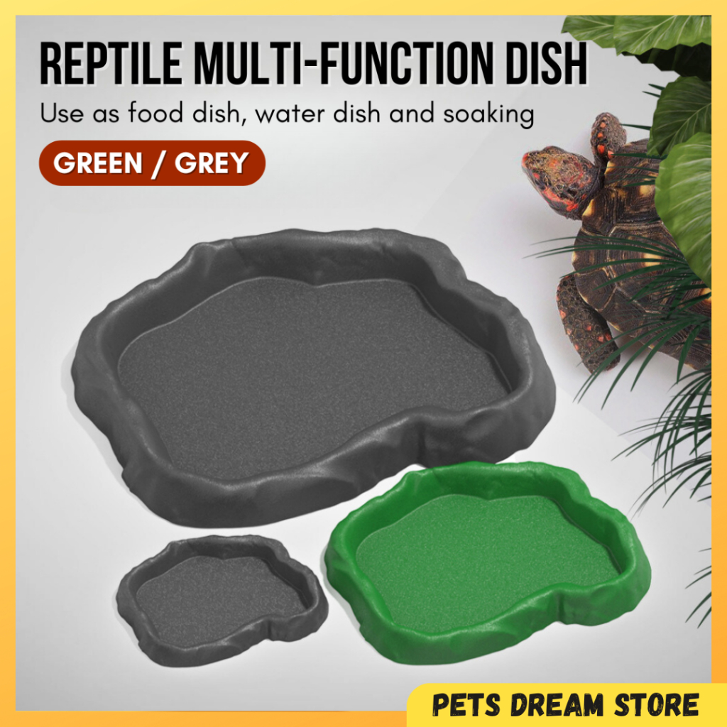 Pacman Frog Water Bowl And Hydration Requirements preview