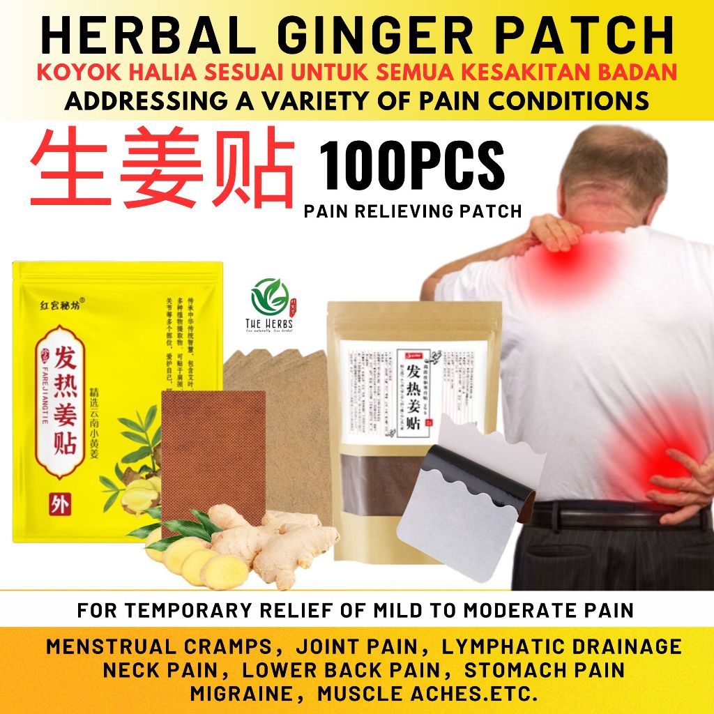 发热生姜贴 Hot Ginger Patch 疼痛贴 Herbal patch koyok halia sakit badan harga ...