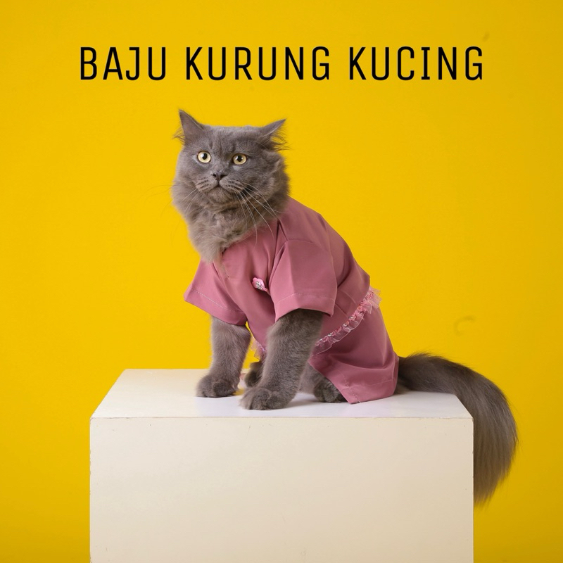 Baju Kurung Kucing Baju Raya Kucing Betina comel cute cantik murah 2025 ...