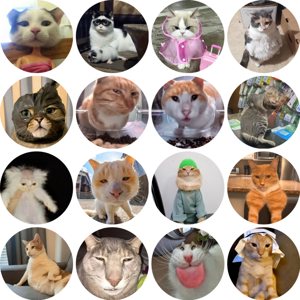 Cat Meme Part 4 Animal Button Badge 58mm | Shopee Malaysia