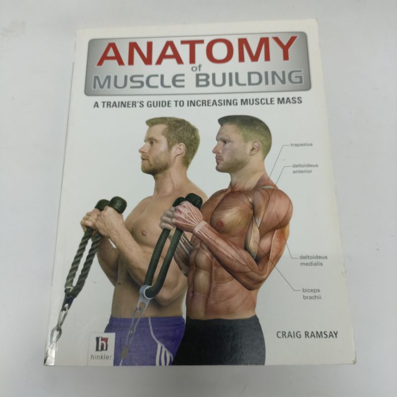 Anatomy of Muscle Building, A Trainer's Guide To Increasing Muscle Mass ...