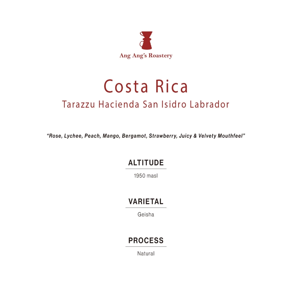 Ang Ang Roastery Limited Series - Costa Rica Tarazzu Hacienda San Isidro Labrador (Natural) – specialty coffee beans Malaysia