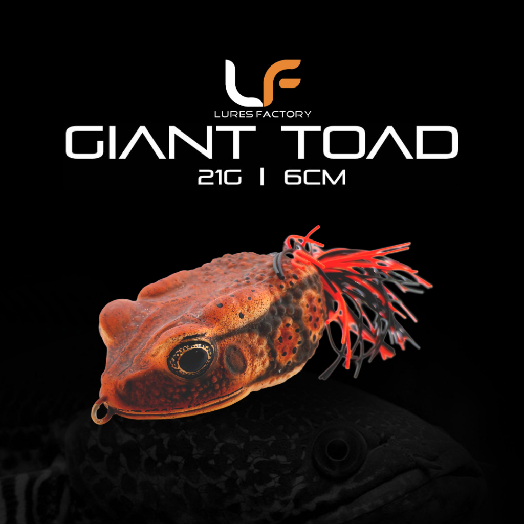 LURESFACTORY - MF GIANT TOAD 6cm 21.5g HARDBODY LURE TOPWATER | Shopee ...