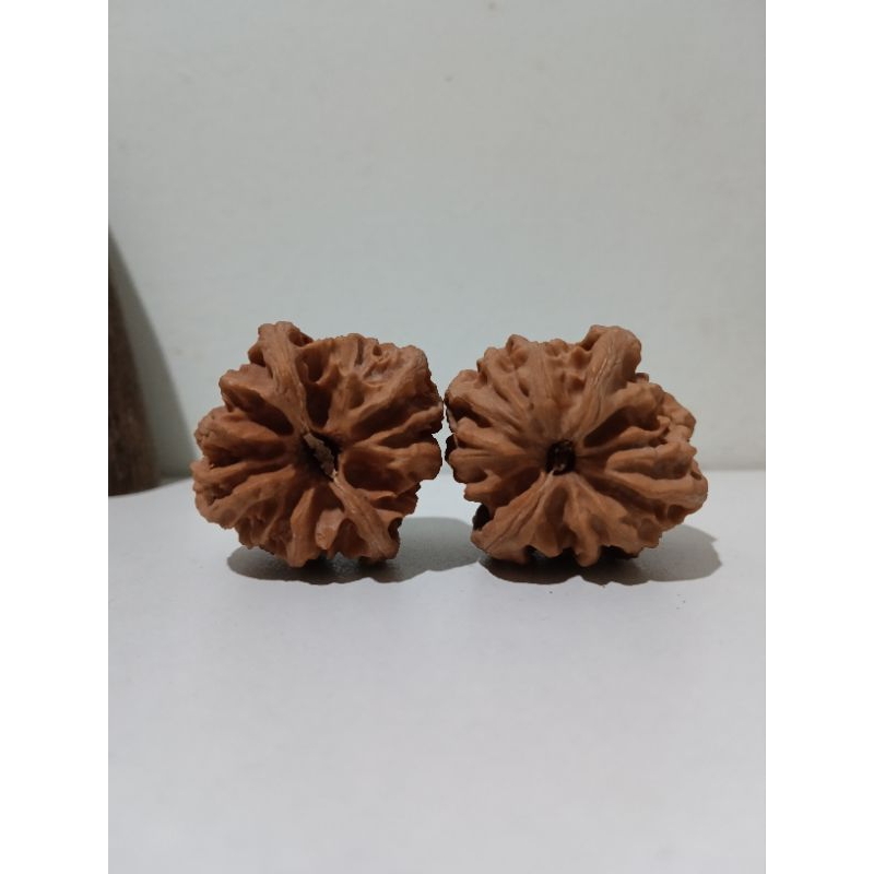 曹大龙高端文玩核桃Walnuts CD02 | Shopee Malaysia