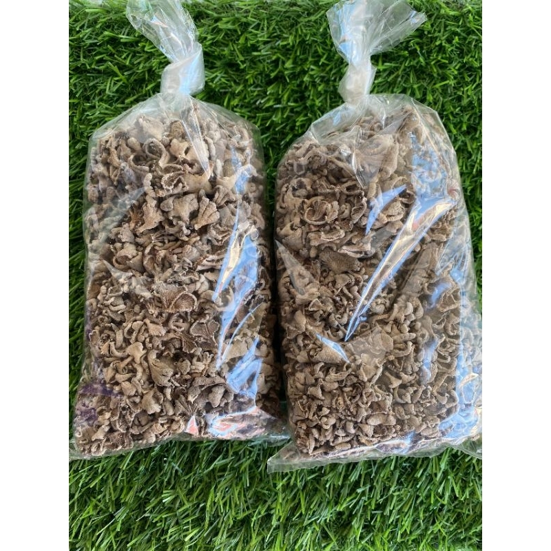 Cendawan Kukur/Sisir (Kodop) | Shopee Malaysia