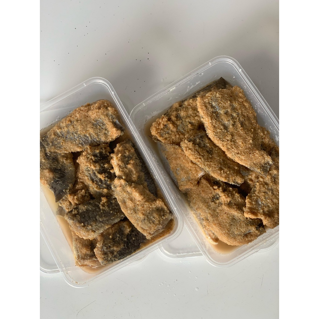 🔥🔥 IKAN PEKASAM PUYU & SEPAT 🐠🐠 | Shopee Malaysia
