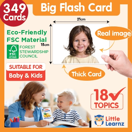 Big Flash Card 349pcs (18 Topics) 15x21cm Early Development Learning ...