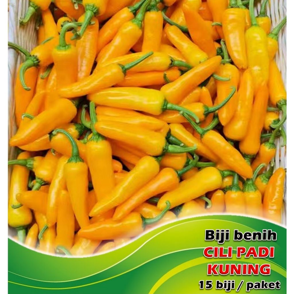 Biji Benih Cili Padi Kuning (15 biji sepacket) / Yellow Small Chilli ...