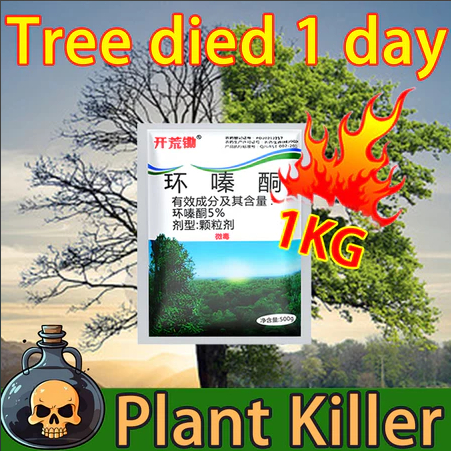 Racun Rumput Cepat Mati Racun Tabur Rumput Racun Pokok Besar Racun ...