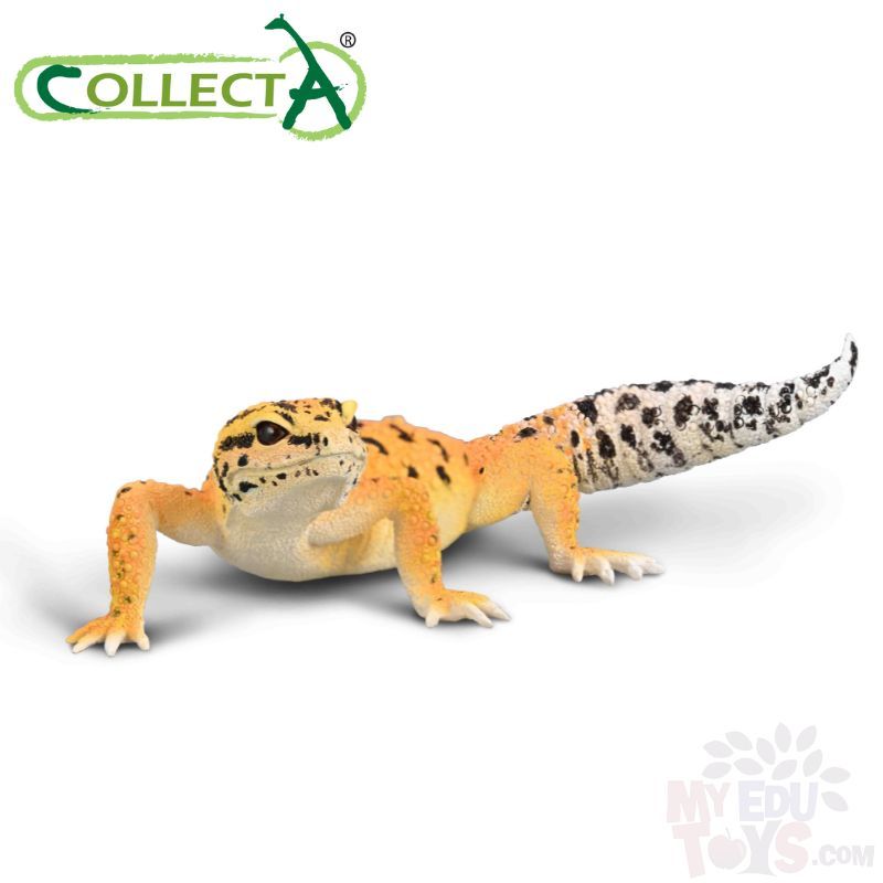 Leopard Gecko - Collecta 80043 Reptiles Animal Action Figure / Figurine ...