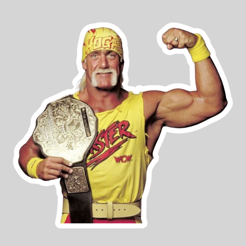 Hulk Hogan Wrestler Legend Stickers | Shopee Malaysia