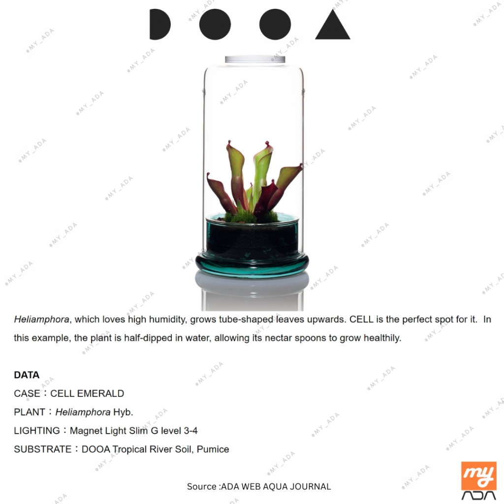 DOOA Magnet Light G Slim Aquarium Lighting/Paludarium Lighting