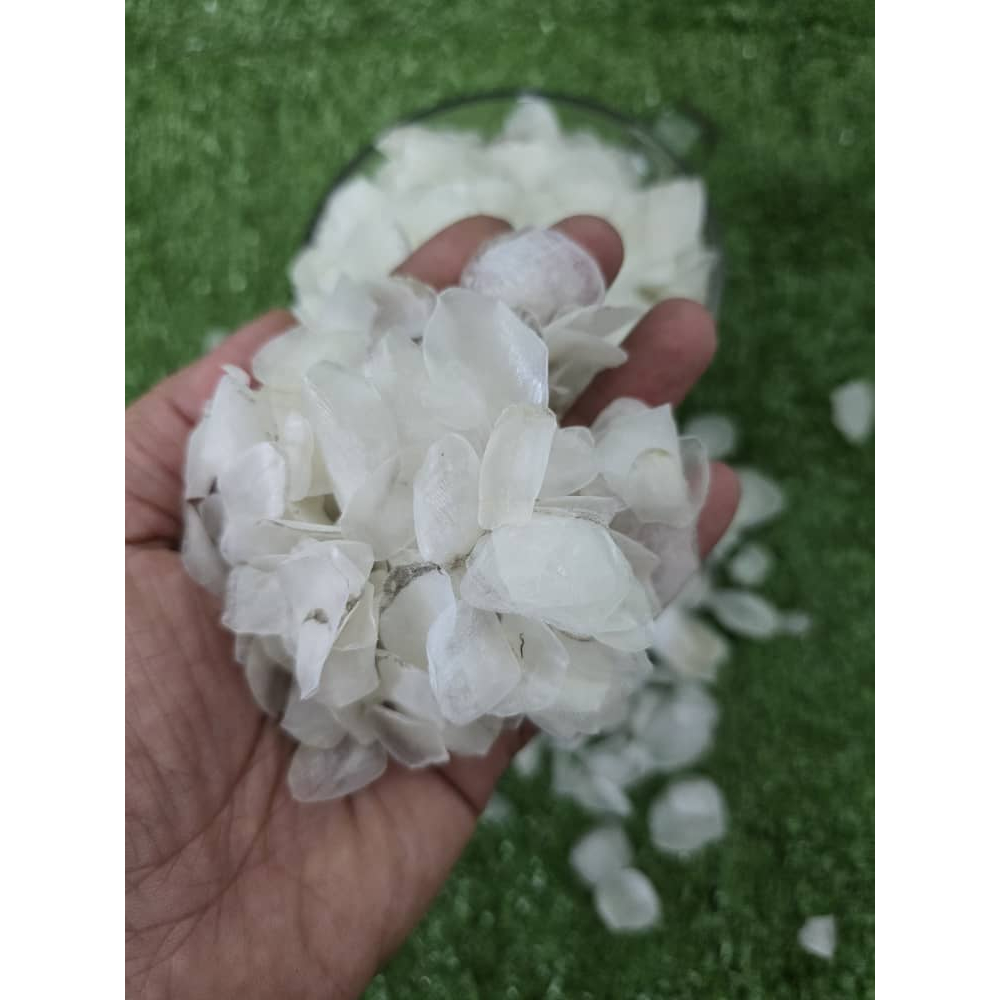 Dried Fish Scale Collagen 深海鱼鳞片 石甲魚鱗片 魚鱗凍 魚鱗 膠原蛋白 魚鱗 凍 膠原蛋白 魚鱗片大 魚鱗冻 鱼鳞 ...