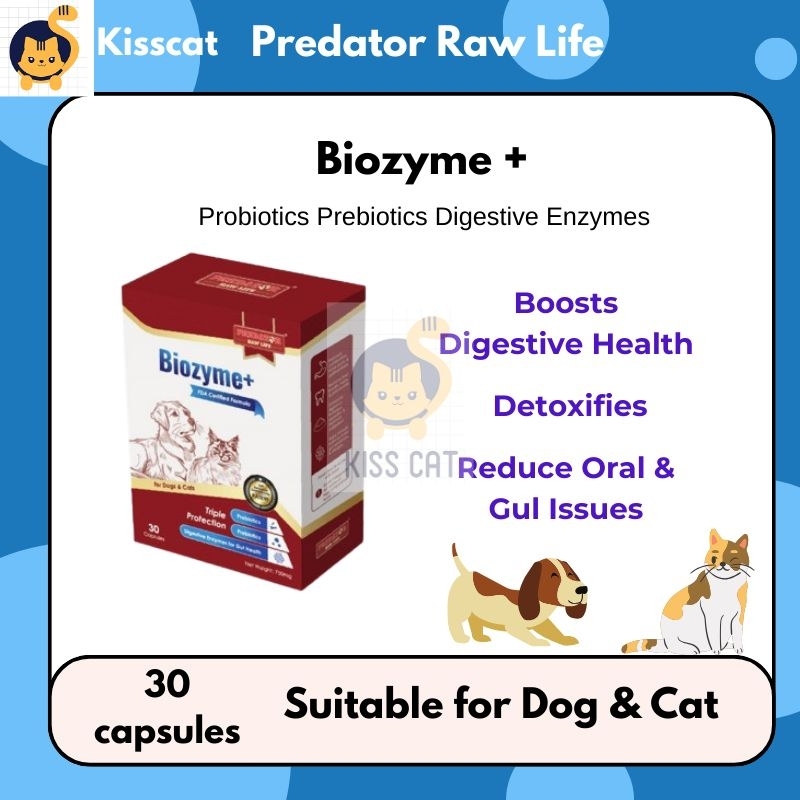 kisscat7 BIOZYME+ Prebiotics+ Probiotic+Enzyme Pet Supplement dog cat ...
