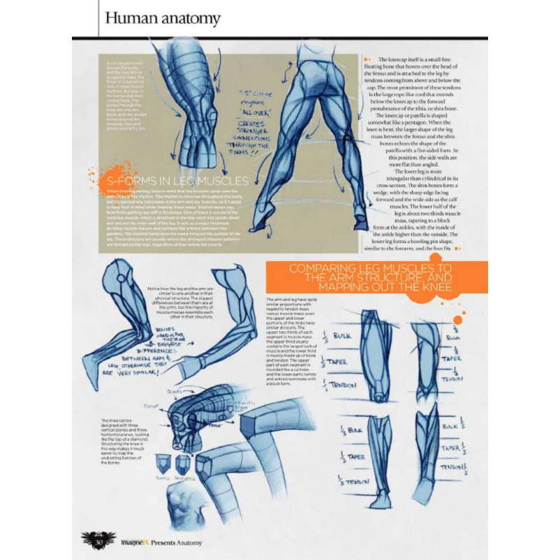 Anatomy Drawing for Artists : Step-by-Step Guide | How to Draw and ...