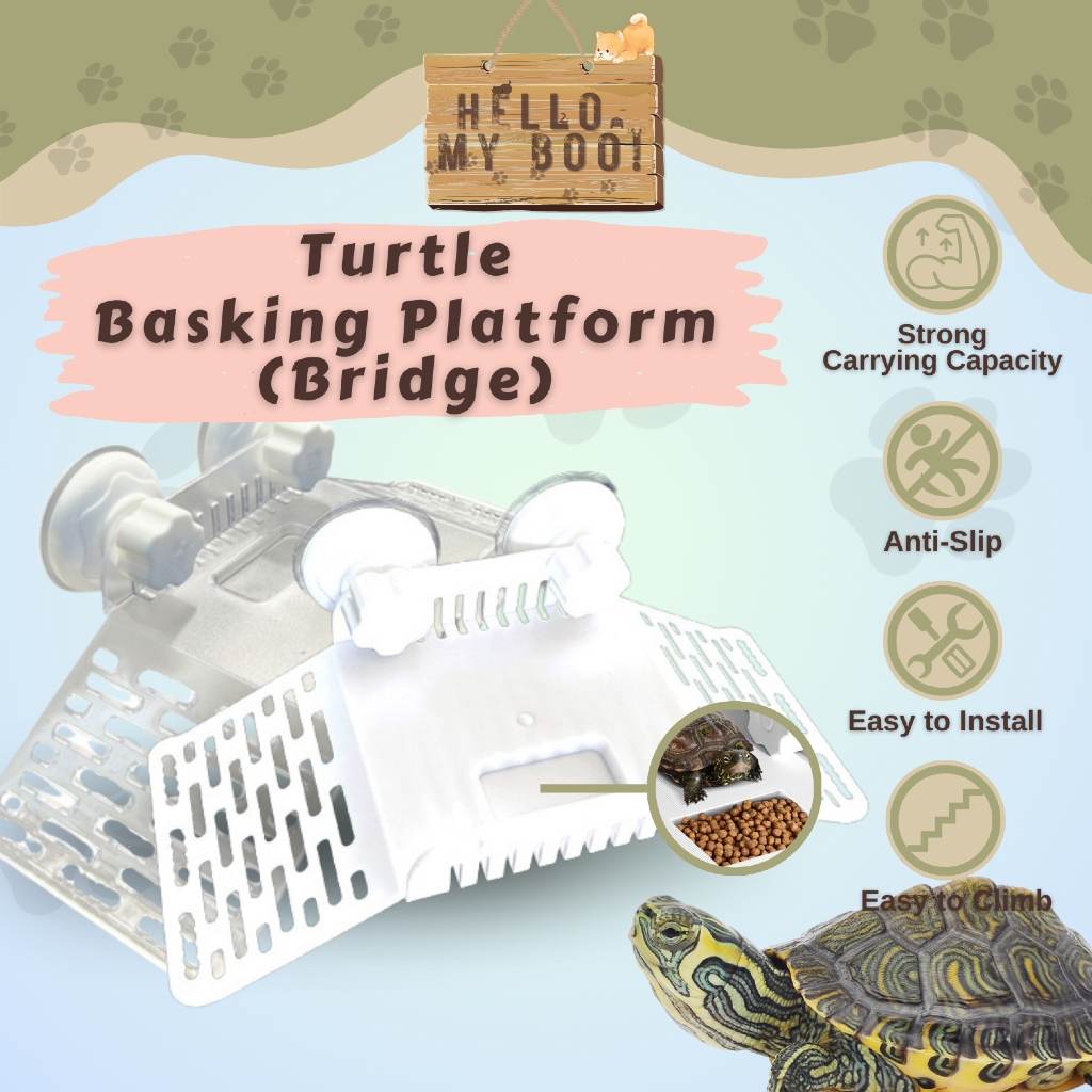 Turtle Basking Platform Bridge 乌龟晒台 Kura-Kura Climbing Habitat Aquarium ...