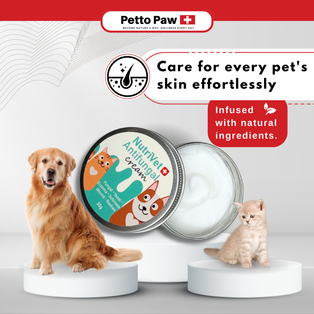 Petto Paw Anti-Fungal Cream 30g for Cats & Dogs (Luka Fungus Bacteria ...