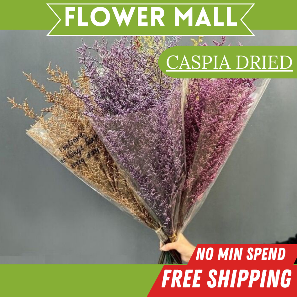 (60G) CASPIA Limonium Dried Dry Preserved Artificial Flower Bouquet ...