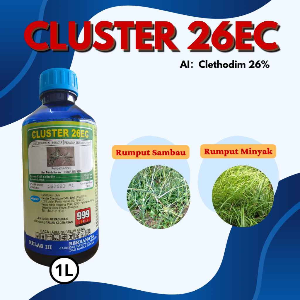 Cluster 26EC (1L)(Clethodim)Herbicide/ Racun Rumput Rumpai/ 草药/除草剂 ...