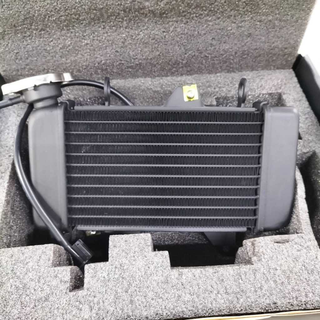 * HONDA RS150R RACING RADIATOR 600ML DYNOPRO RS150 | Shopee Malaysia