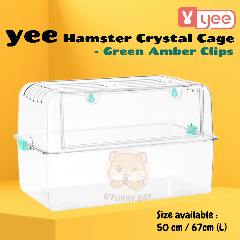 Visual Reference: Yee Green Amber Acrylic Hamster Cage Crystal Clear Panoramic Design