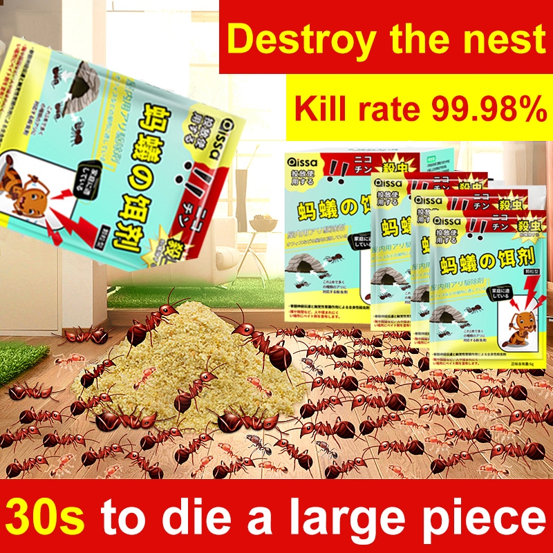 [Quickly eliminate all ants] ready stock ubat semut ant killer ant bait ...