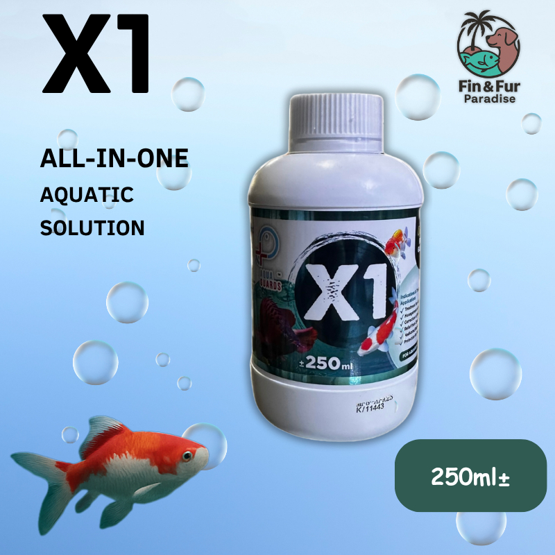 【Aquarium】X1 Fish antibacterial treatment 250ml | Shopee Malaysia