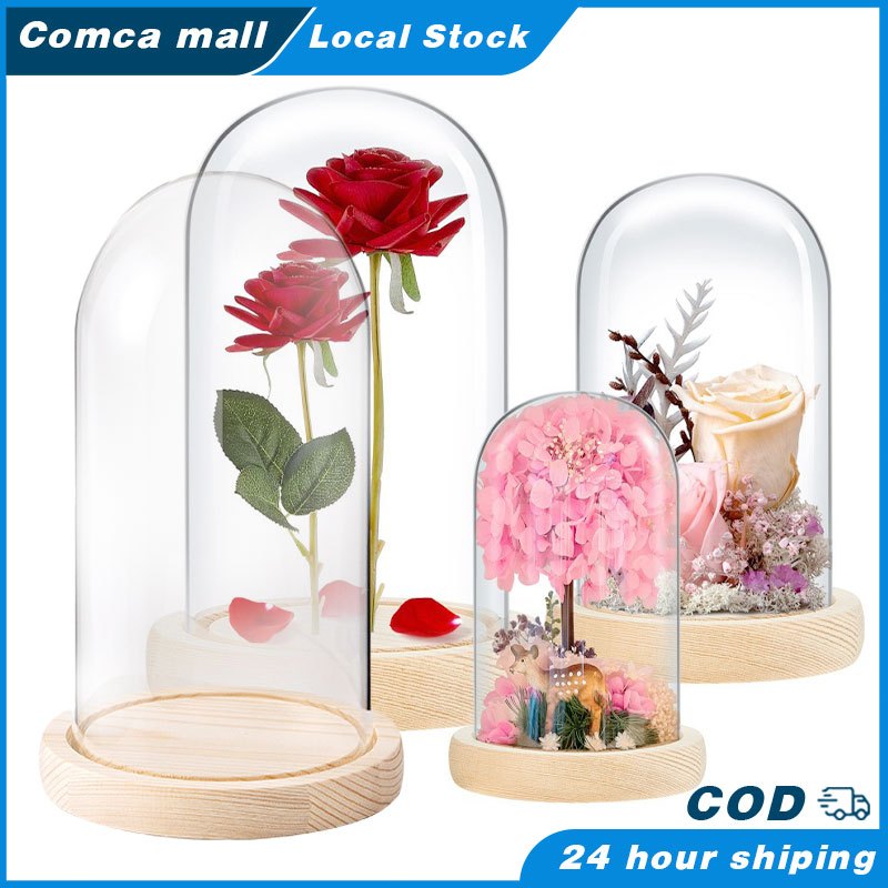 glass dome display - Prices and Promotions - Oct 2026 | Shopee Malaysia