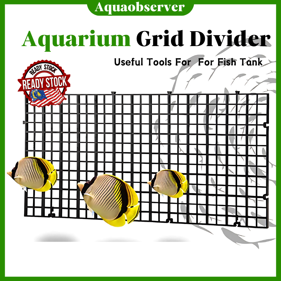 Fish Tank Divider Plastic Grid Aquarium Isolate Board Filter Isolation ...