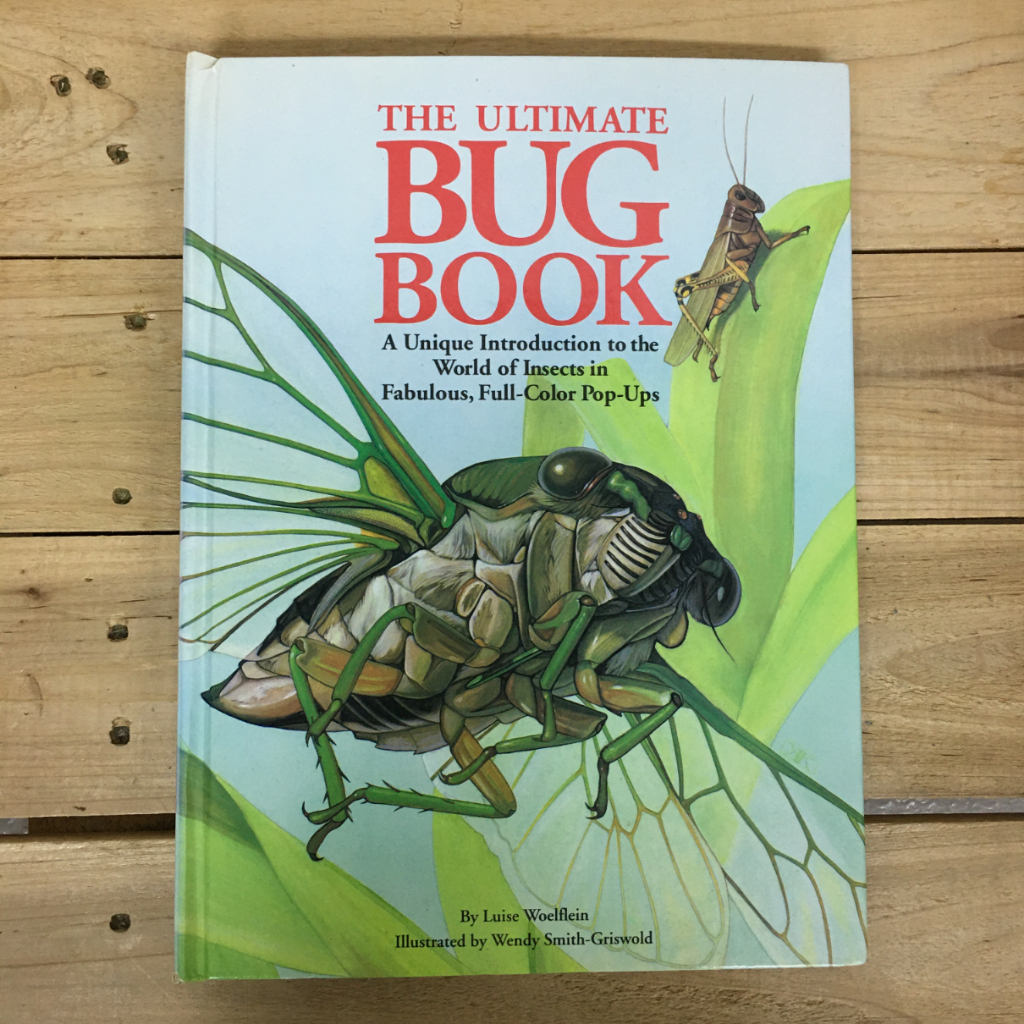 The Ultimate Bug Book : A Unique Introduction to the World of Insects ...