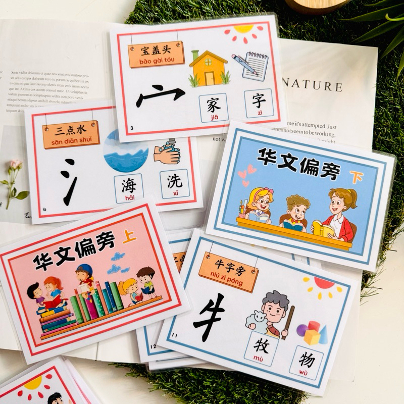 158 Chinese Flash Card·偏旁部首字卡】Flash Card｜Busy Book｜Montessori Early ...