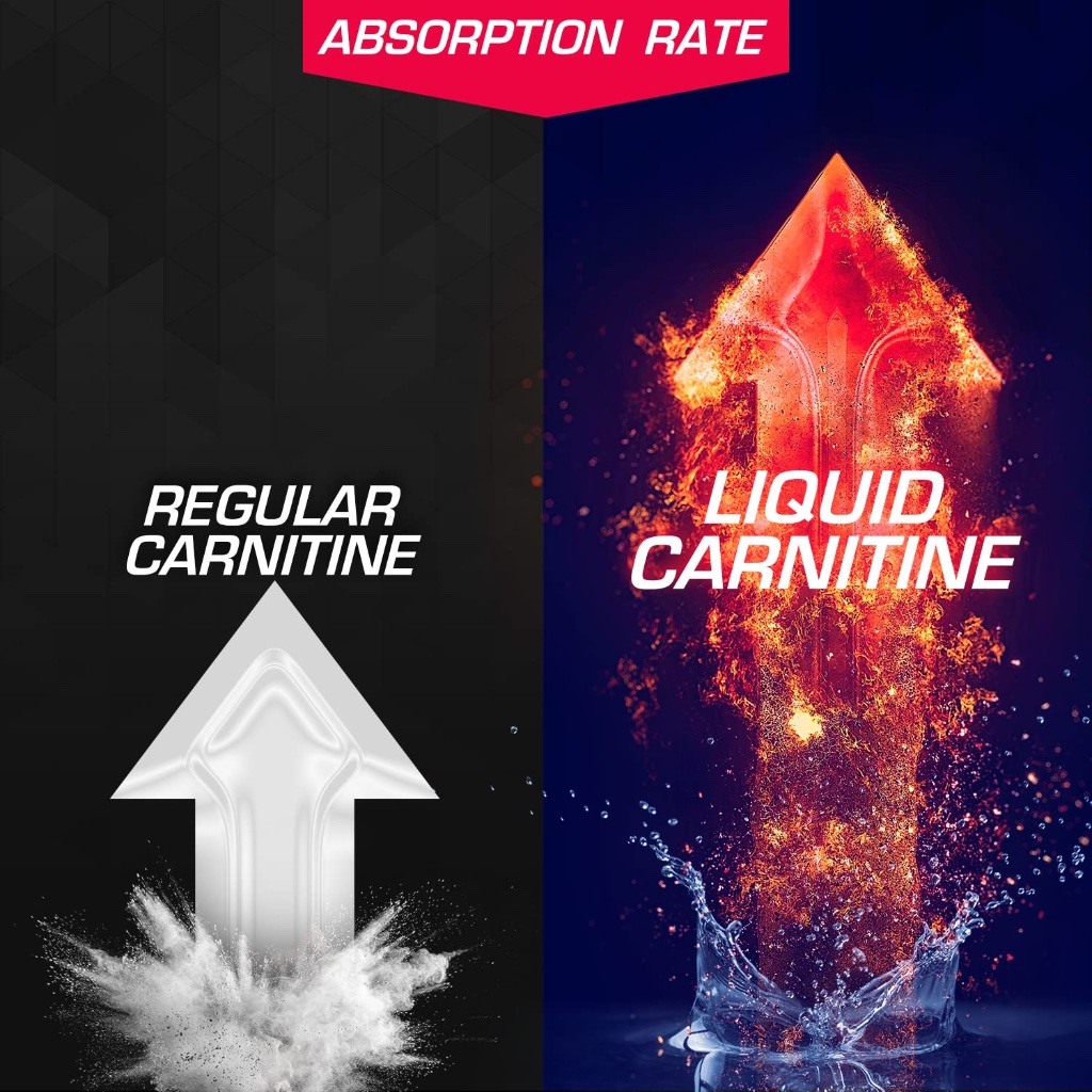 liquid l-carnitine malaysia L-Carnitine, 355ml  and overall metabolic health. Leading Sports Nutrition & Equipment
